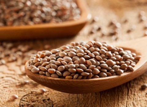 تصویر 5 از فروش عدس ریز محلی + قیمت خرید به صرفه